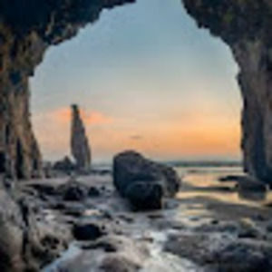 Meet your Posher, Taneshia